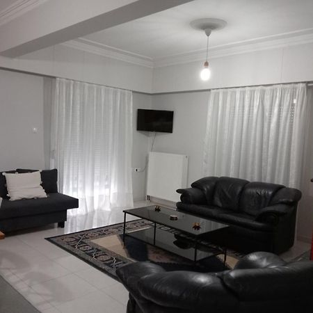 Spacious Apartment Anatoli Ioánnina Exteriér fotografie